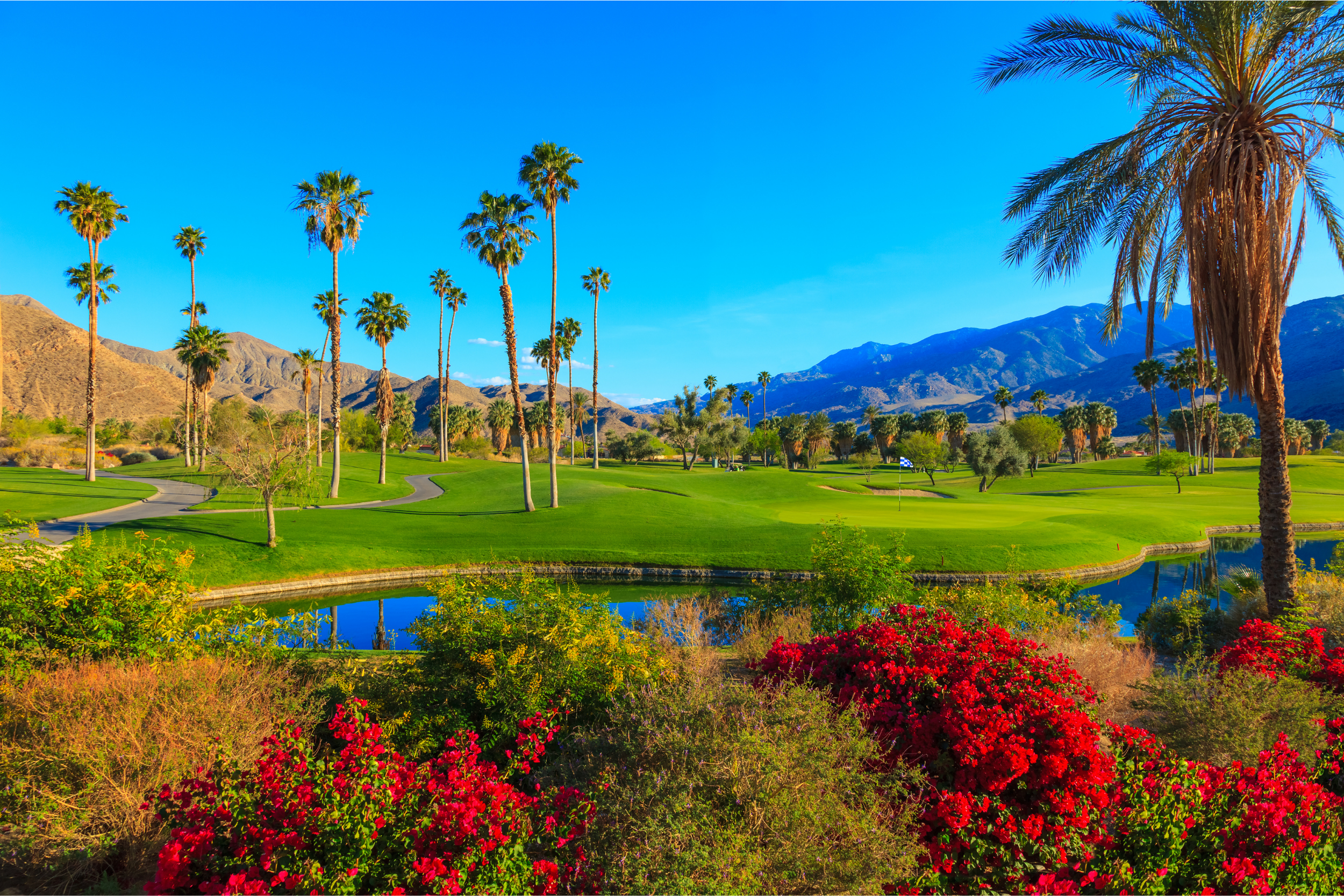 Palm Desert